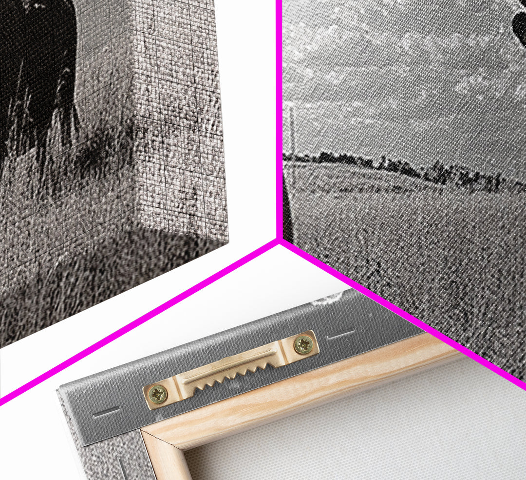 Black Cow, Farmhouse Art, Rustic Decor, Western Wall Art, Long Narrow Wall Art, Moody Art, Extra Wide Art, Framed Canvas Print