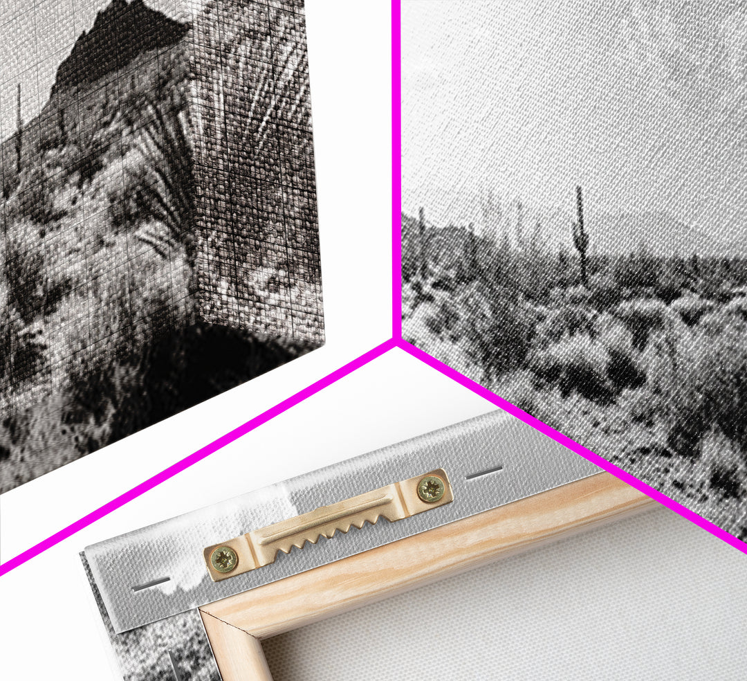 Desert Cactus, Joshua tree art, southwest wall art, extra wide art, wabi sabi art, rustic wall art, framed canvas print, panoramic art