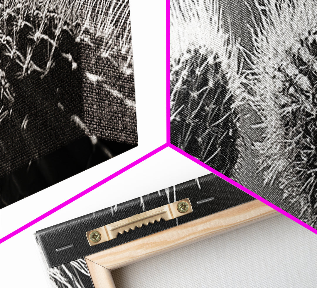 Desert Cactus, southwest wall art, moody art, Joshua tree art, extra wide wall art, nature photography, framed canvas print