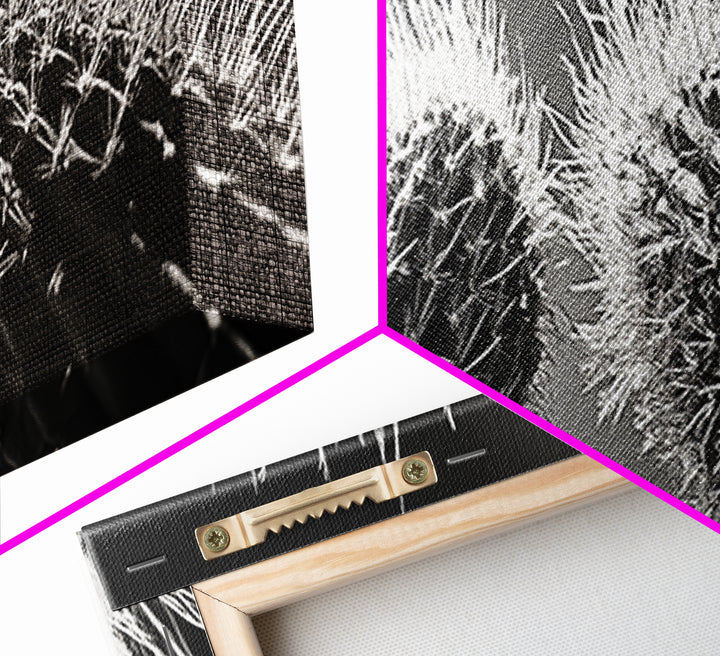 Desert Cactus, southwest wall art, moody art, Joshua tree art, extra wide wall art, nature photography, framed canvas print