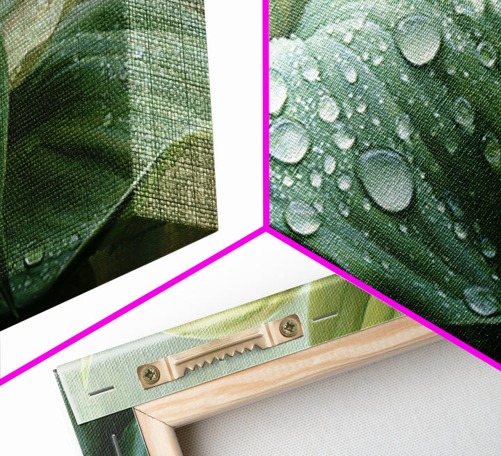 Rain on Leaves Framed Canvas Print, Spa Art, Art Print, Spa Decor, Serenity, Botanical Art, Nature Prints, Travel Poster, SPA-2x1-12