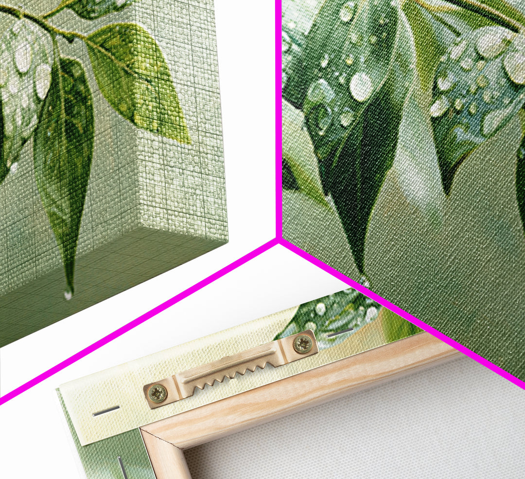 Rain on Leaves Framed Canvas Print, Spa Art, Animal Art, Spa Decor, Fine Art, Serenity, Gallery Decor, Neutral Decor, SPA-2x1-84
