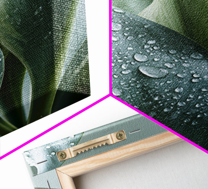 Rain on Leaves Framed Canvas Print, Spa Art, Modern Decor, Spa Decor, Fine Art, Serenity, Wall Decor, Printable Wall Art, SPA-2x3-24