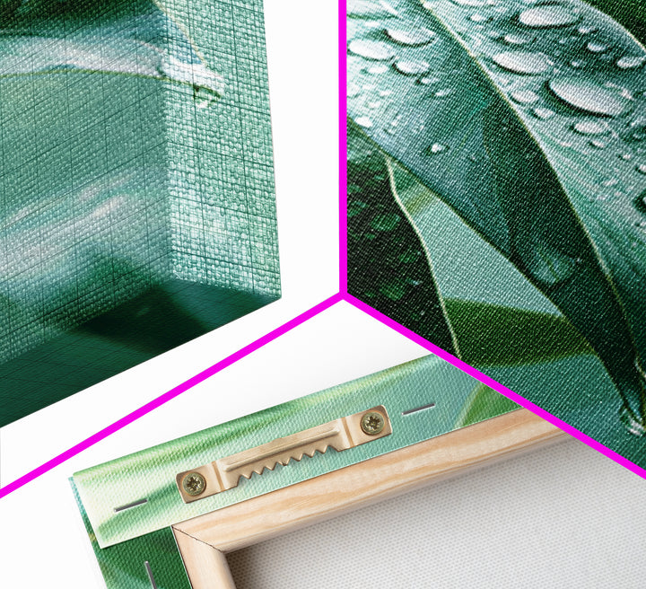 Rain on Leaves Canvas Print, Spa Art, Animal Art, Spa Decor, Fine Art, Serenity, Gallery Decor, Neutral Decor, Modern Decor, SPA-2x3-96