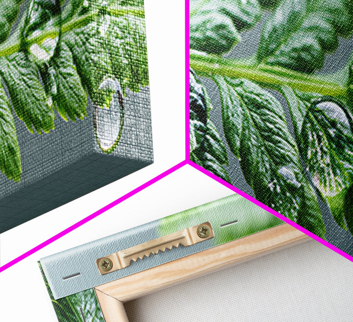 Fern Leaf Closeup Framed Canvas Print, Spa Art, Room Decor, Spa Decor, Fine Art, Serenity, Nature Prints, Travel Poster, SPA-3x1-27