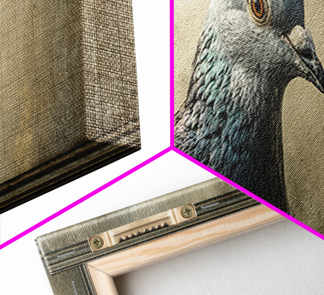 Urban Pigeon Portrait Framed Canvas Print, Urban Art, Wall Art, Living Room Decor, Fine Art, Urban, Printable Art, URB-3x1-72
