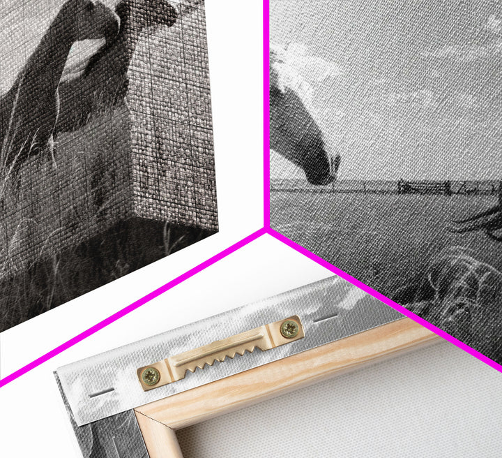 Fine Art Framed Canvas Print, Metal Art, Black & White Photo of Wild Mustangs, Horse Art, American Horses Landscape / Nature / Wildlife Art