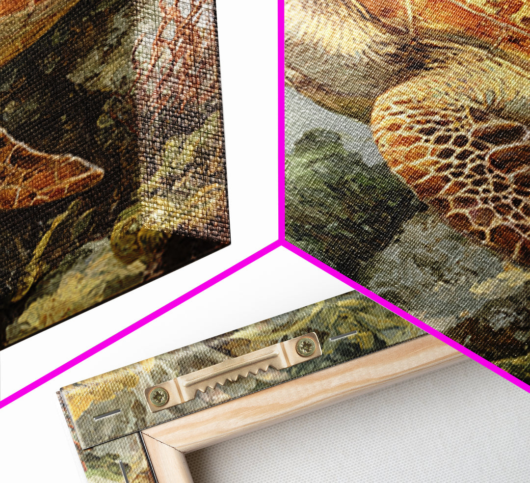 Sea Turtle over Coral Reef Canvas Print, Wildlife Art, Living Room Wall Art, Living Room Decor, Wild, Unique Home Decor, WIL-1x1-18