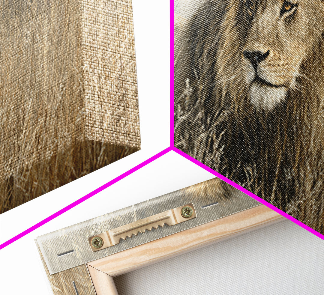 Lion Emerging from Golden Savanna Grass Canvas Print, Wildlife Art, Wall Art Print, Living Room Decor, Fine Art, Wild, WIL-2x1-93