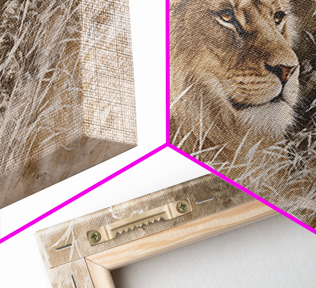 Lion Emerging from Golden Savanna Grass Framed Canvas Print, Wildlife Art, Modern Art, Living Room Decor, Fine Art, Wild, WIL-3x2-5