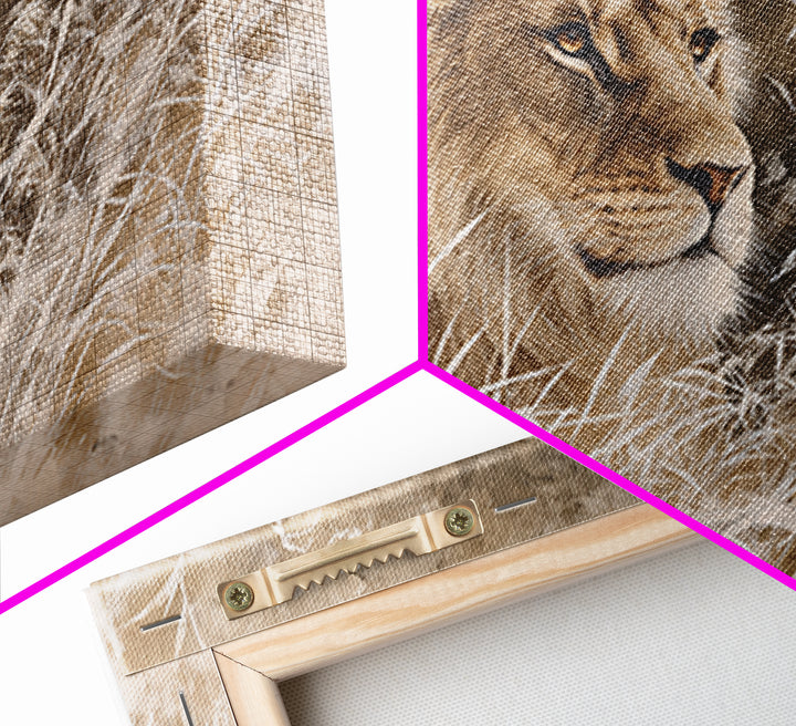 Lion Emerging from Golden Savanna Grass Framed Canvas Print, Wildlife Art, Modern Art, Living Room Decor, Fine Art, Wild, WIL-3x2-5