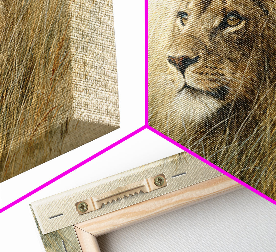 Lion Emerging from Golden Savanna Grass Framed Canvas Print, Wildlife Art, Gallery Decor, Living Room Decor, Fine Art, Wild, WIL-3x2-77
