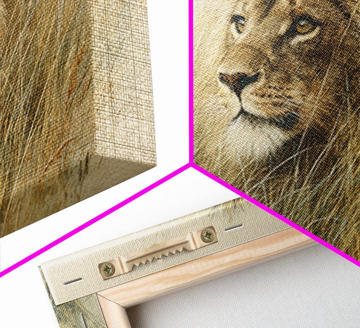 Lion Emerging from Golden Savanna Grass Framed Canvas Print, Wildlife Art, Gallery Decor, Living Room Decor, Fine Art, Wild, WIL-3x2-77