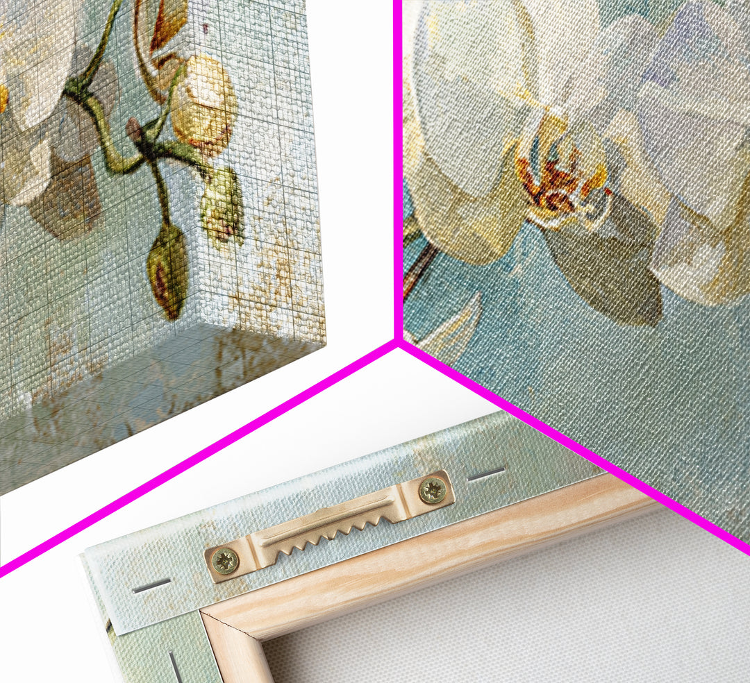 White Orchid on Light Gray Ground Framed Canvas Print, Waiting Room Art, Boho Decor, Waiting Room Decor, Fine Art, Calm, WRA-2x1-75
