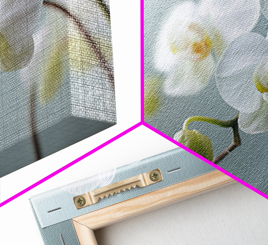 White Orchid on Light Gray Ground Canvas Print, Waiting Room Art, Digital Art Print, Waiting Room Decor, Fine Art, Calm, WRA-3x2-11