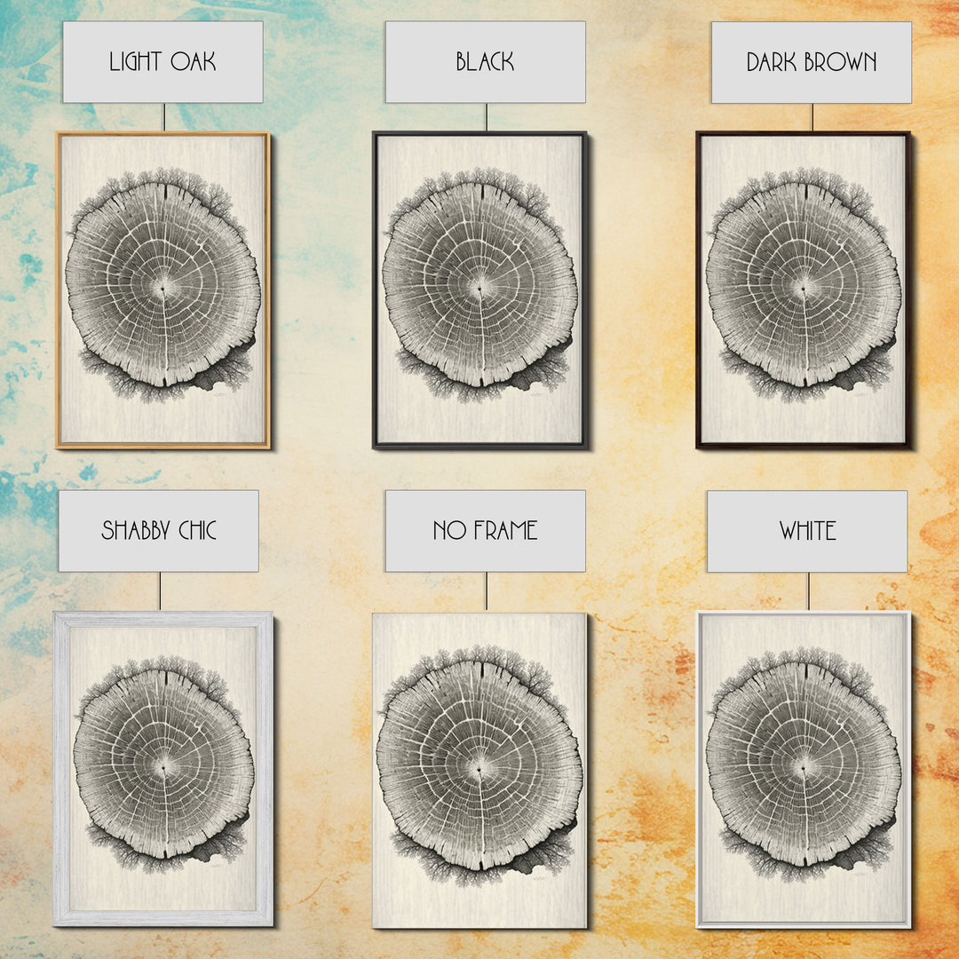 Framed Canvas Print Wall Art,  Grunge Forest Tree Rings, Abstract Illustrations, Modern Art, Nordic Decor for Bedroom, Tree Cross Section