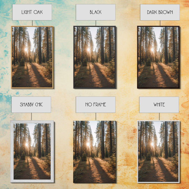 Trees Wall Art, Woods Wall Decor, Nature Art Print, Autumn Art Print, Photography Print, Wall Decor, Canvas Print, Wall Art, Framed Canvas
