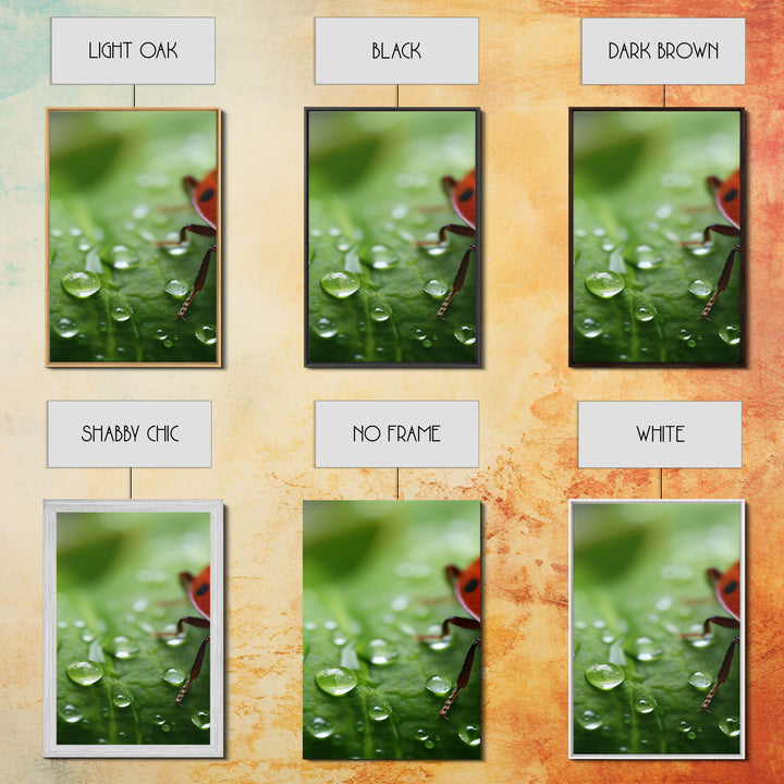 Insect Art Print, Nature Art, Lady Bug Wall Art, Canvas Print, Wall Art, 3 Piece Wall Art, Country Home Wall Art, Apartment Wall Decor