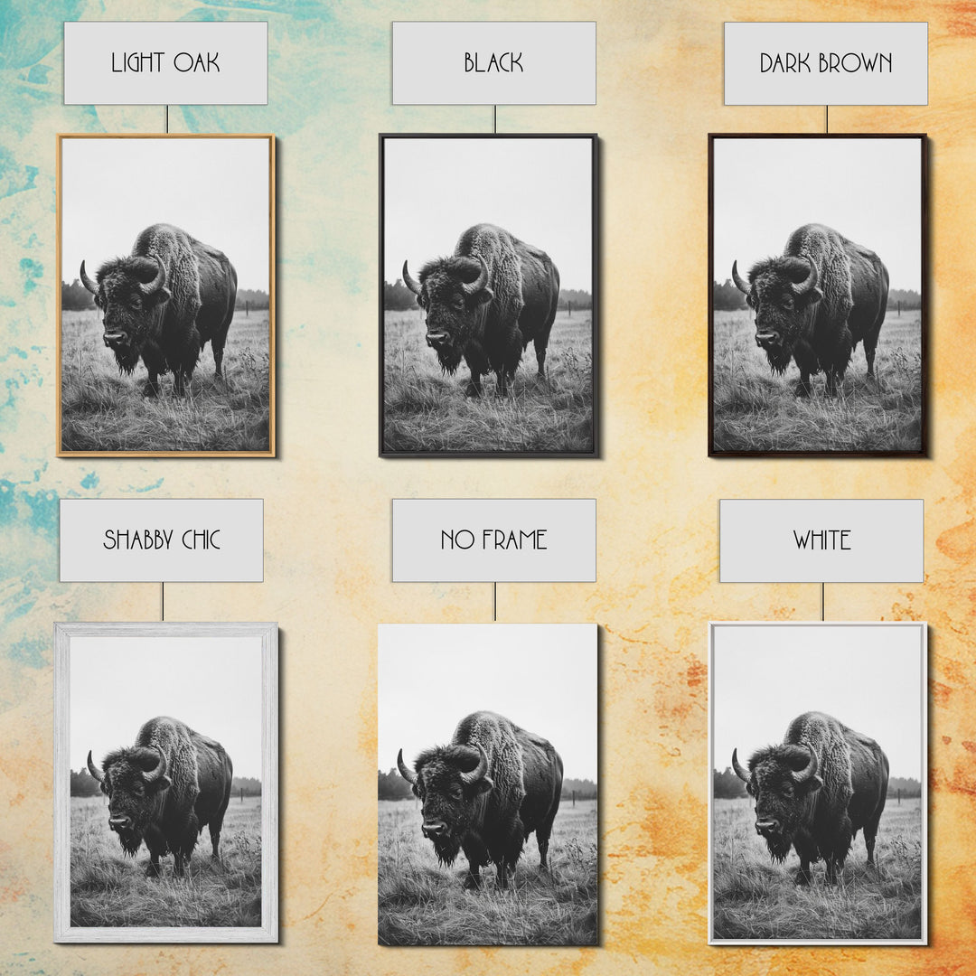 Majestic Bison in Black and White Photography - Framed Canvas Print, Wildlife Photography, Rustic Bison Art for Home Decor