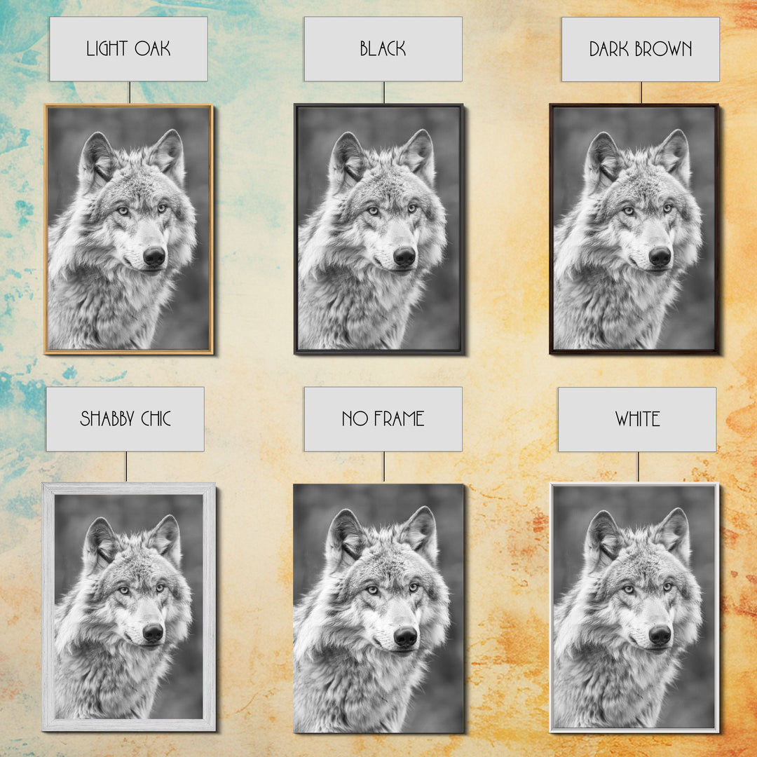 Wolf Portrait in Black and White Photography - Framed Canvas Print, Wildlife Photography, Rustic Wolf Art for Home Wall Decor