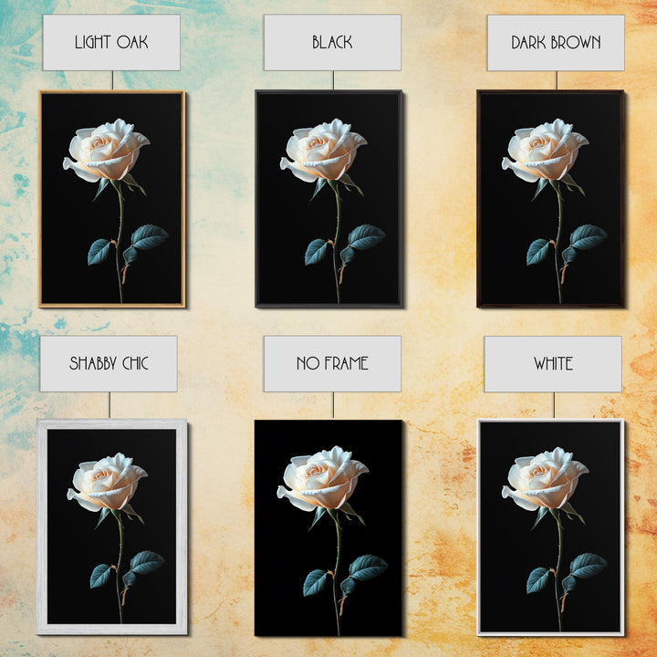 Still Life Photograph of a White Rose, Framed Canvas Print, Rose Painting, Rose Decor, Rose Wall Art, Mother's Day Gift Idea, Flower Wall Art