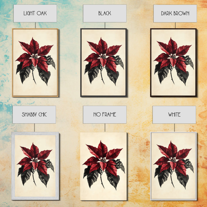 Christmas Poinsetta Canvas Print - Framed Canvas - Minimalist Christmas Art - Boho Christmas Art - Rustic Christmas Art