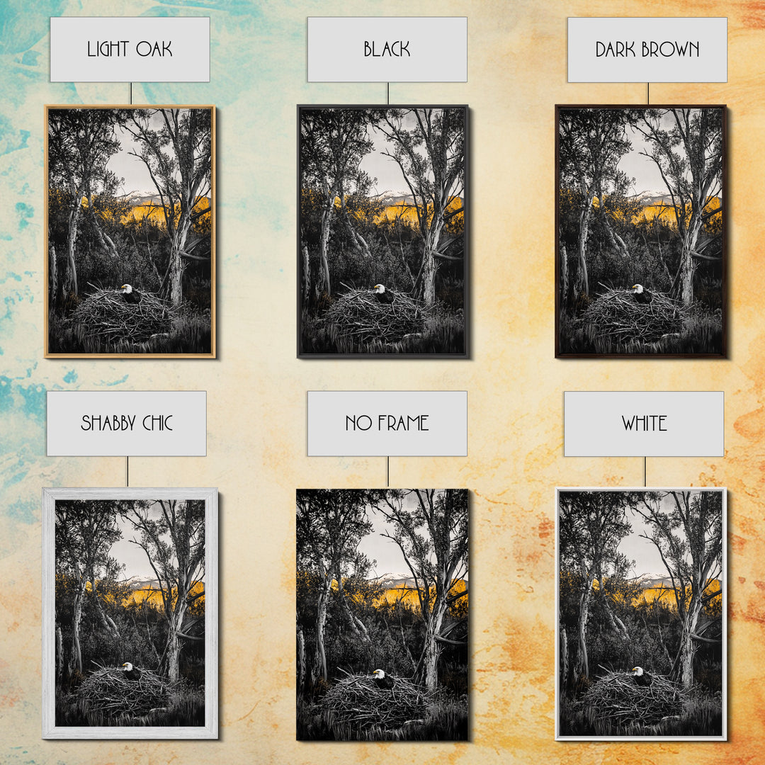 Bald Eagle Nest Art, Black White Forest, Yellow Fall Trees, Wildlife Nature Decor, Rustic Lodge Wall Art, Living Room Art, Canvas Print