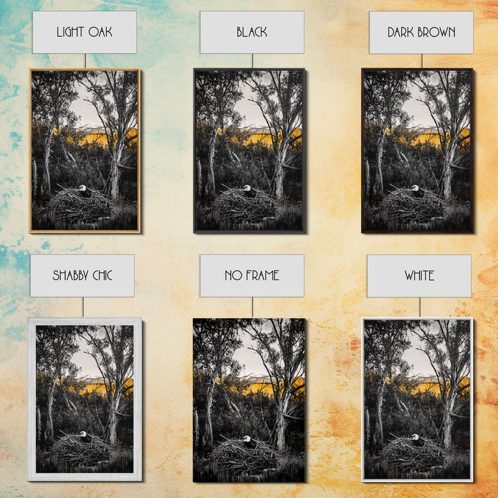 Bald Eagle Nest Art, Black White Forest, Yellow Fall Trees, Wildlife Nature Decor, Rustic Lodge Wall Art, Living Room Art, Canvas Print