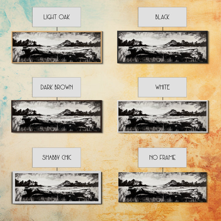 Driftwood Beach, Coastal Landscape, Framed Canvas Print, Black and White Wall Art, Nature Photography Style, Serene Home Decor, Bedroom Art