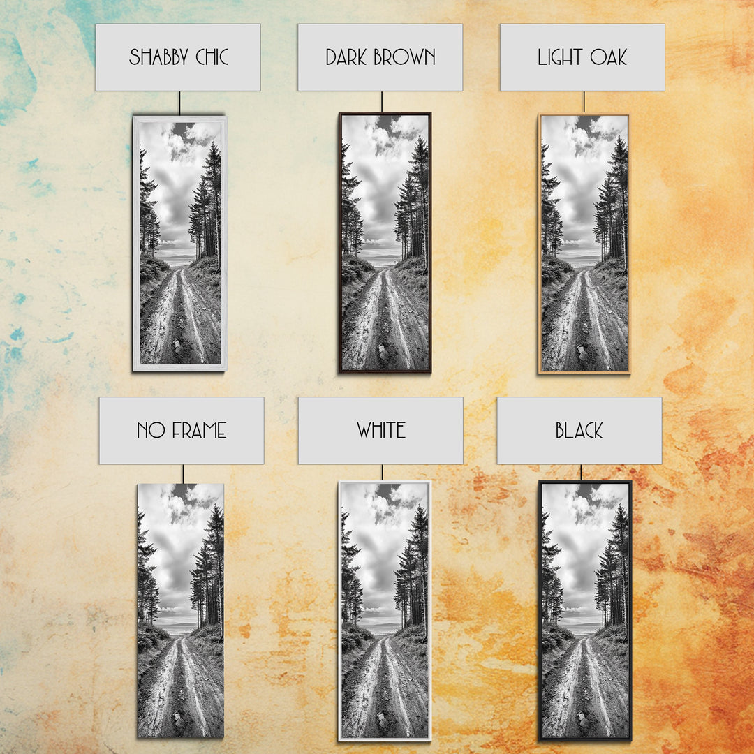 Coastal Forest Path, Nature Trail, Ocean View, Black and White, Framed Canvas Print, Entryway Wall Art, Rustic Decor, Landscape Photography