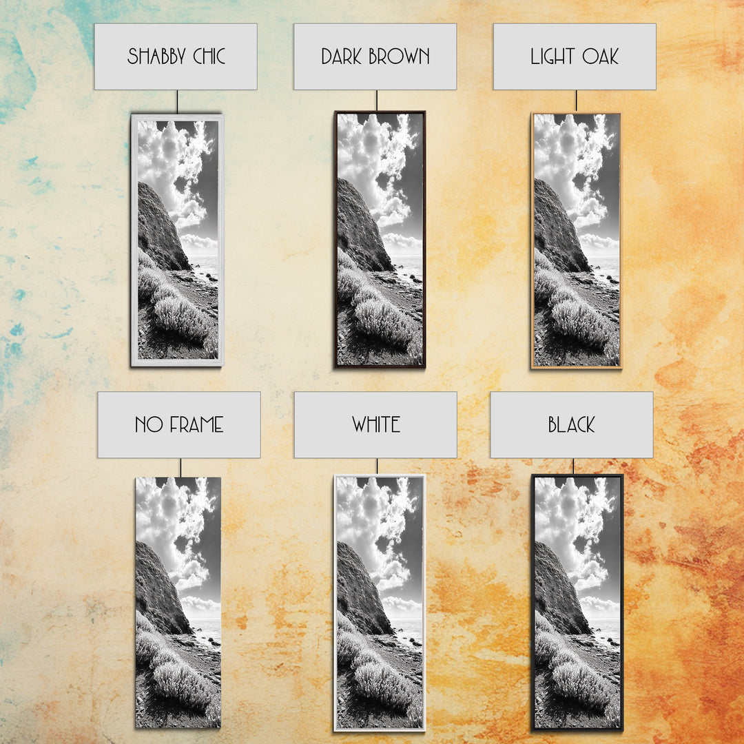 Coastal Shrubs, Rocky Beach, Sunlit Cliffside, Framed Canvas Print, Kitchen Wall Art, Black and White Nature, Scandinavian Home Style