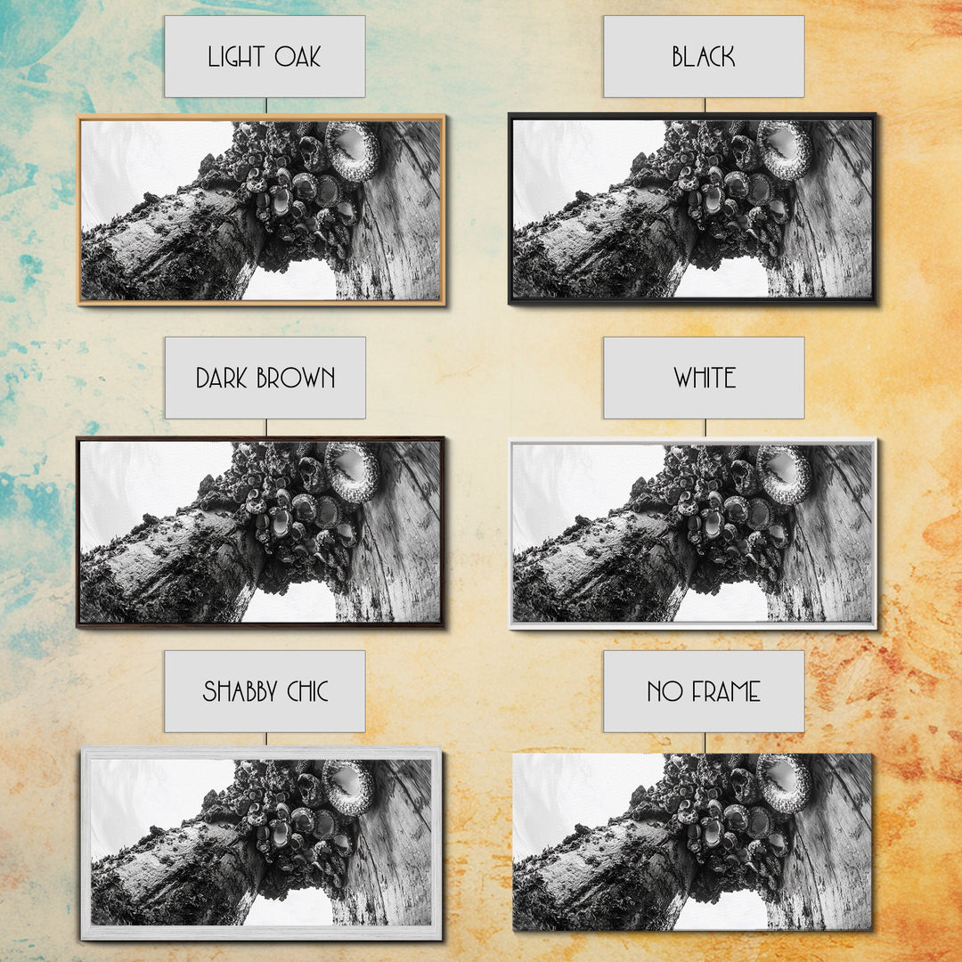 Coastal Texture, Tidepool Abstract, Modern Ocean Nature, Framed Canvas Print, Bathroom Wall Art, Marine Minimalist Photography