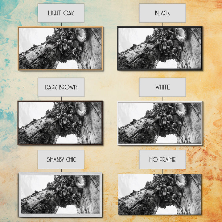 Coastal Texture, Tidepool Abstract, Modern Ocean Nature, Framed Canvas Print, Bathroom Wall Art, Marine Minimalist Photography