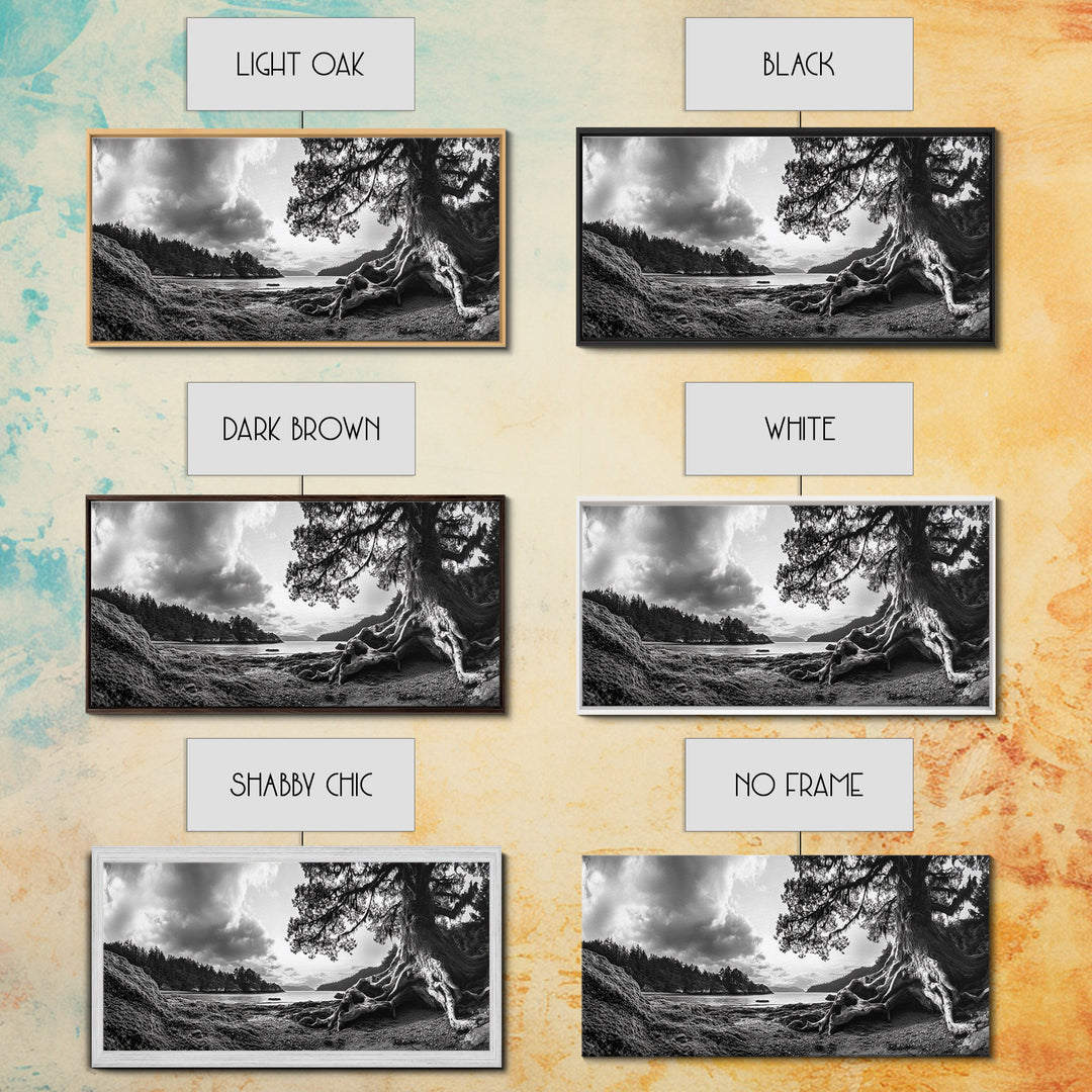 Coastal Tree Roots, Ancient Forest Shore, Pacific Northwest Nature, Moody Black and White Canvas Print, Cabin Wall Art, Woodland Style