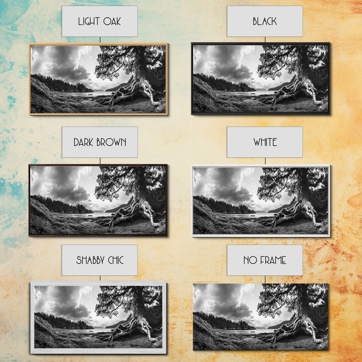 Coastal Tree Roots, Ancient Forest Shore, Pacific Northwest Nature, Moody Black and White Canvas Print, Cabin Wall Art, Woodland Style