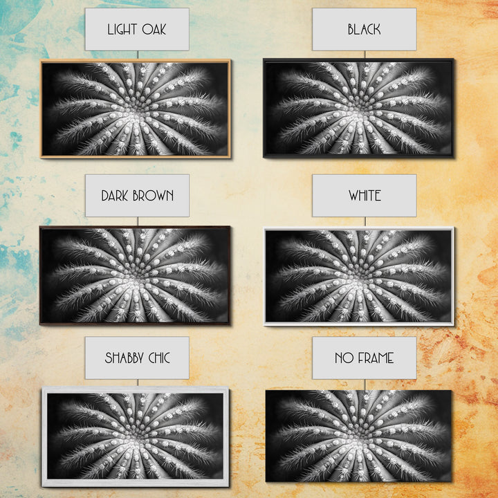 Cactus Spiral, Desert Bloom, Nature Closeup, Modern Decor, Framed Canvas Print, Minimalist Botanical Art, Office Wall Art, Succulent Texture