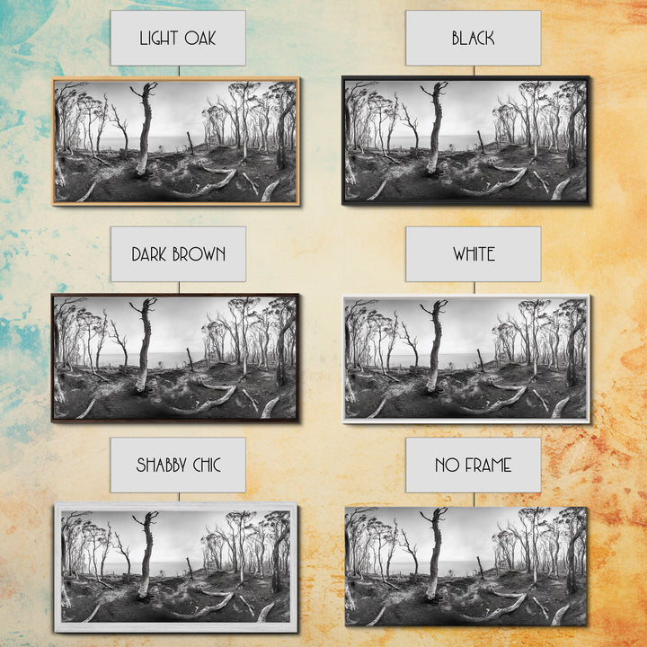 Burnt Forest, Moody Trees, Coastal Landscape, Nature Scene, Framed Canvas Print, Rustic Wall Art, Boho Decor, Fall Home Aesthetic