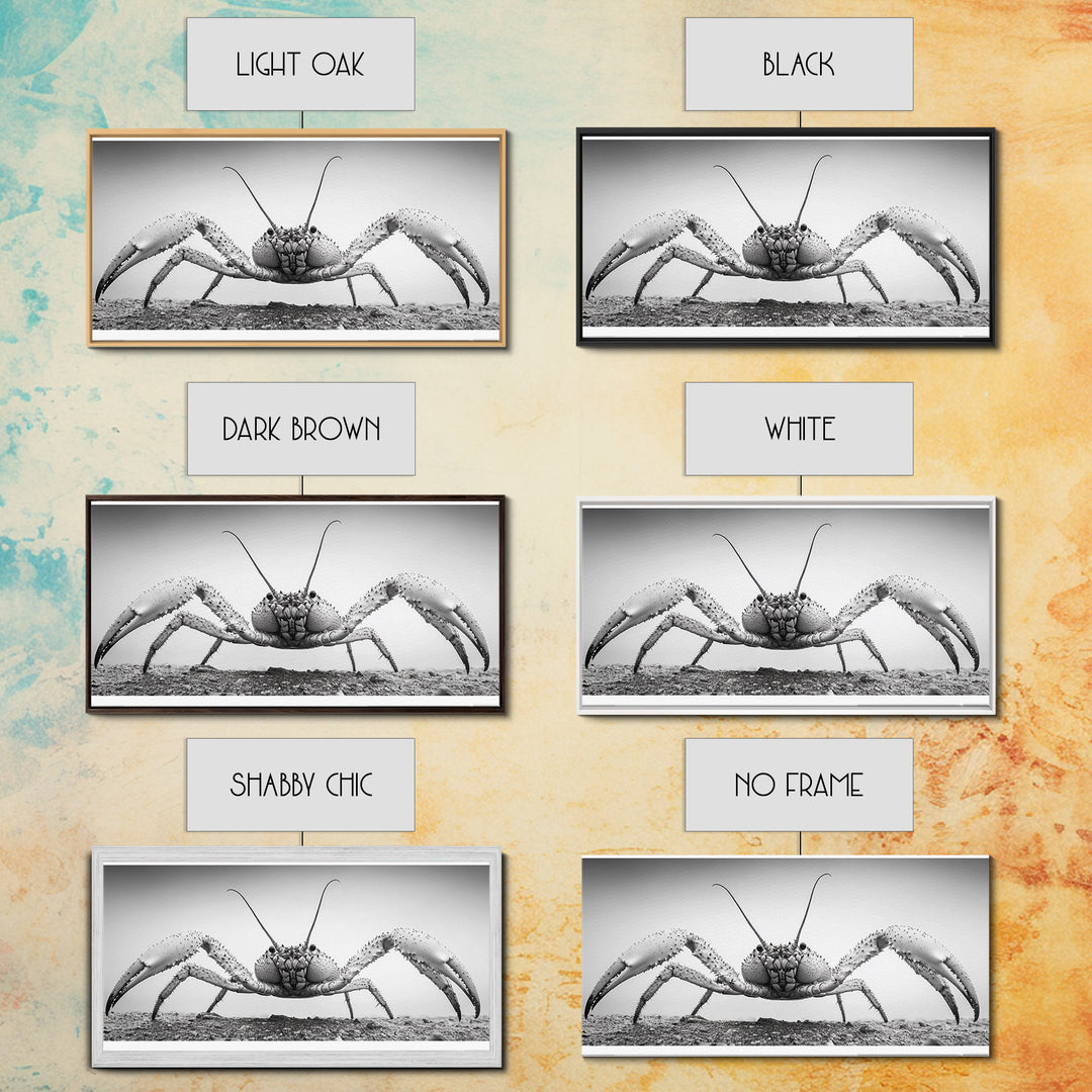 Crab Art, Beach Creature, Monochrome Photography, Nature Close-Up, Framed Canvas Print, Coastal Bathroom Art, Marine Home Style