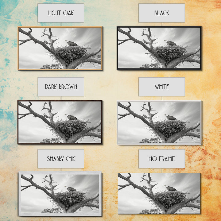 Bald Eagle Nest, Wildlife Nature Art, Rustic Cabin Decor, Framed Canvas Print, Patriotic Office Wall Art, Woodland Photography