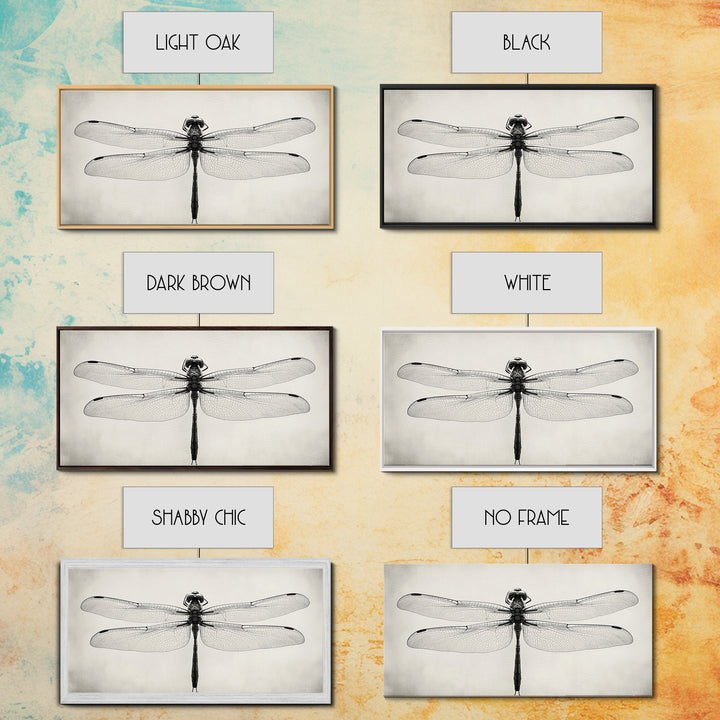 Dragonfly Sketch, Insect Art Print, Botanical Illustration, Minimalist Natural History, Framed Canvas Print, Office or Study Wall Art