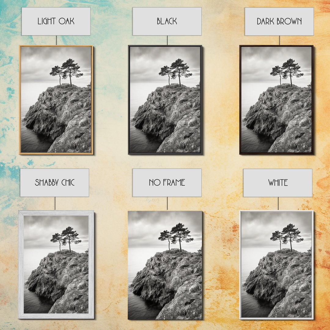 Rocky Coast, Lone Trees, Ocean View, Monochrome Calm, Framed Canvas Print, Bathroom Wall Art, Coastal Style, Minimalist Mountain Art