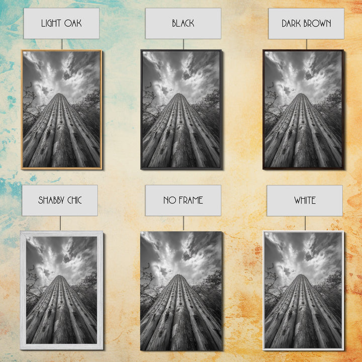 Tall Cactus, Desert Skies, Cactus Wall Art, Framed Canvas Print, Boho Desert Decor, Minimalist Nature Print, Bedroom Southwest Style