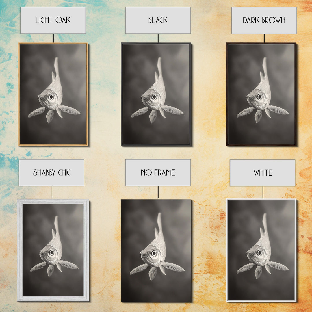 Curious Fish, Underwater Focus, Moody Marine Life, Framed Canvas Print, Bathroom Wall Art, Black and White Ocean Wildlife Decor