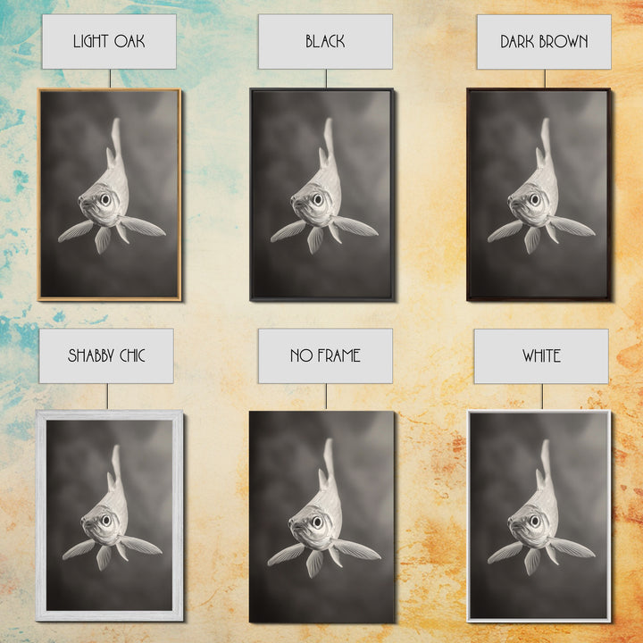 Curious Fish, Underwater Focus, Moody Marine Life, Framed Canvas Print, Bathroom Wall Art, Black and White Ocean Wildlife Decor