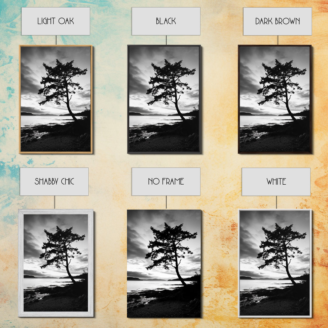Coastal Tree, Pacific Northwest, Serene Landscape, Monochrome Nature Scene, Framed Canvas Print, Entryway Art, Rustic Cabin Wall Decor