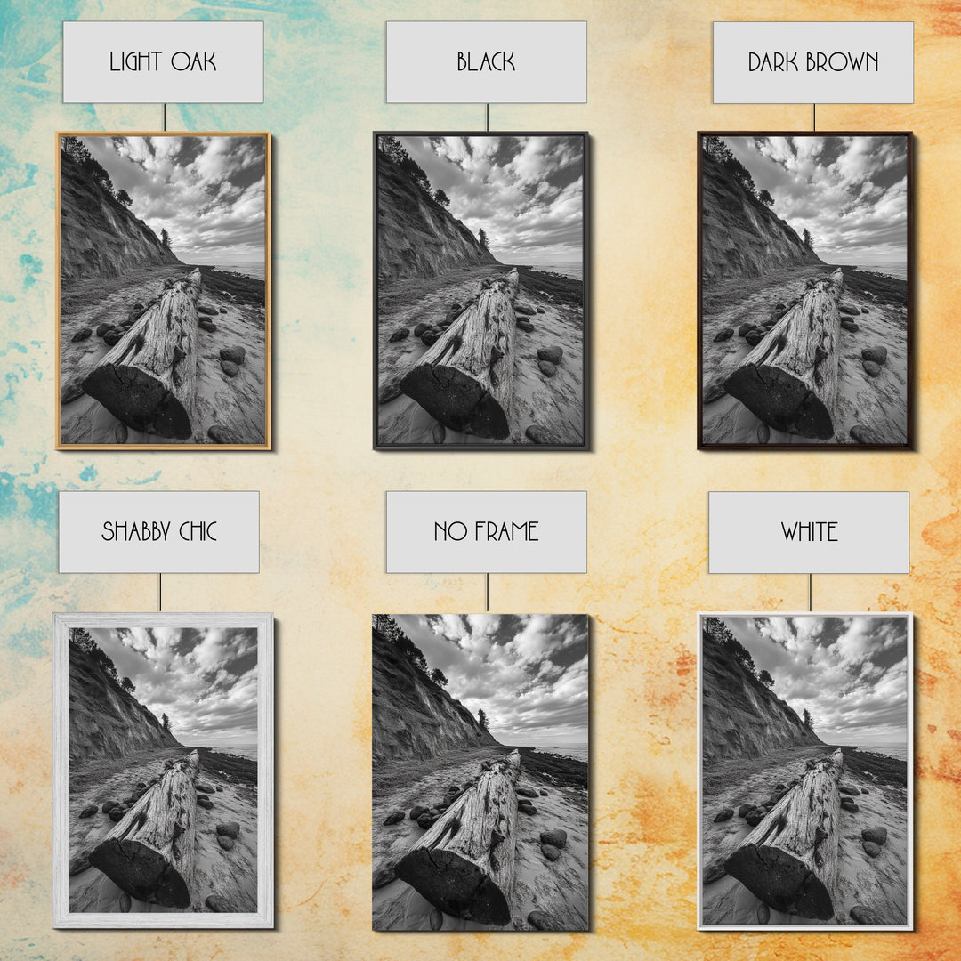 Driftwood Coastal Trail, Cliffside Path Nature Art, Rustic Cabin Style, Black White Photography, Framed Canvas Print, Hallway Wall Decor