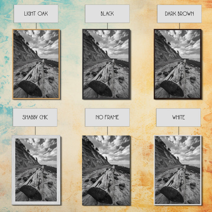 Driftwood Coastal Trail, Cliffside Path Nature Art, Rustic Cabin Style, Black White Photography, Framed Canvas Print, Hallway Wall Decor