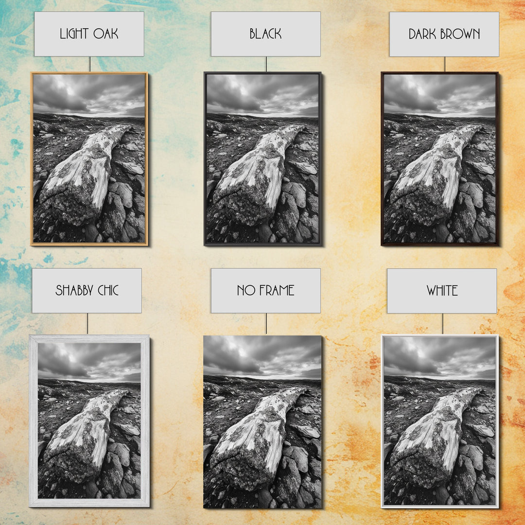 Rocky Terrain Driftwood, Weathered Wood Scene, Outdoor Adventure Art, Modern Rustic Decor, Framed Canvas Print, Earthy Tones Photography