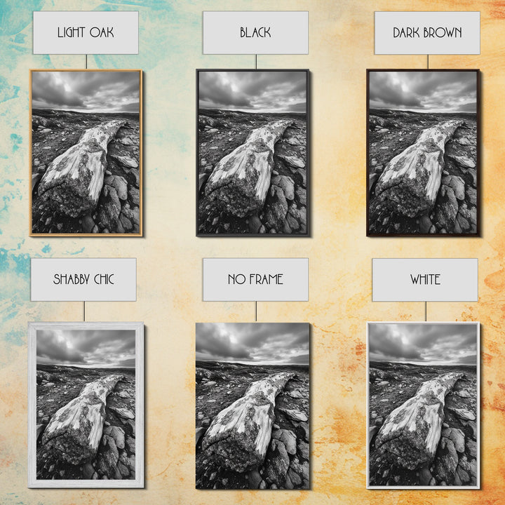 Rocky Terrain Driftwood, Weathered Wood Scene, Outdoor Adventure Art, Modern Rustic Decor, Framed Canvas Print, Earthy Tones Photography