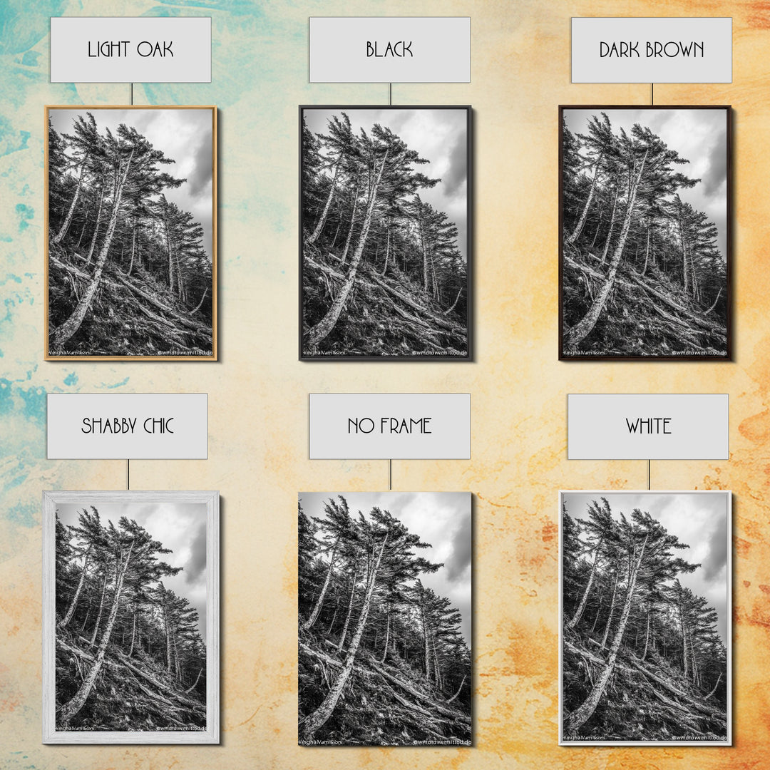 Windy Pines, Forest Landscape, Nature Photography, Framed Canvas Print, Rustic Wall Art, Cabin Decor, Minimalist Art, Fall Home Style